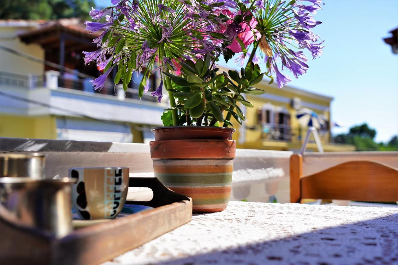 פארגה Antigoni Apartments מראה חיצוני תמונה